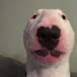 Meet your Posher, Olaf